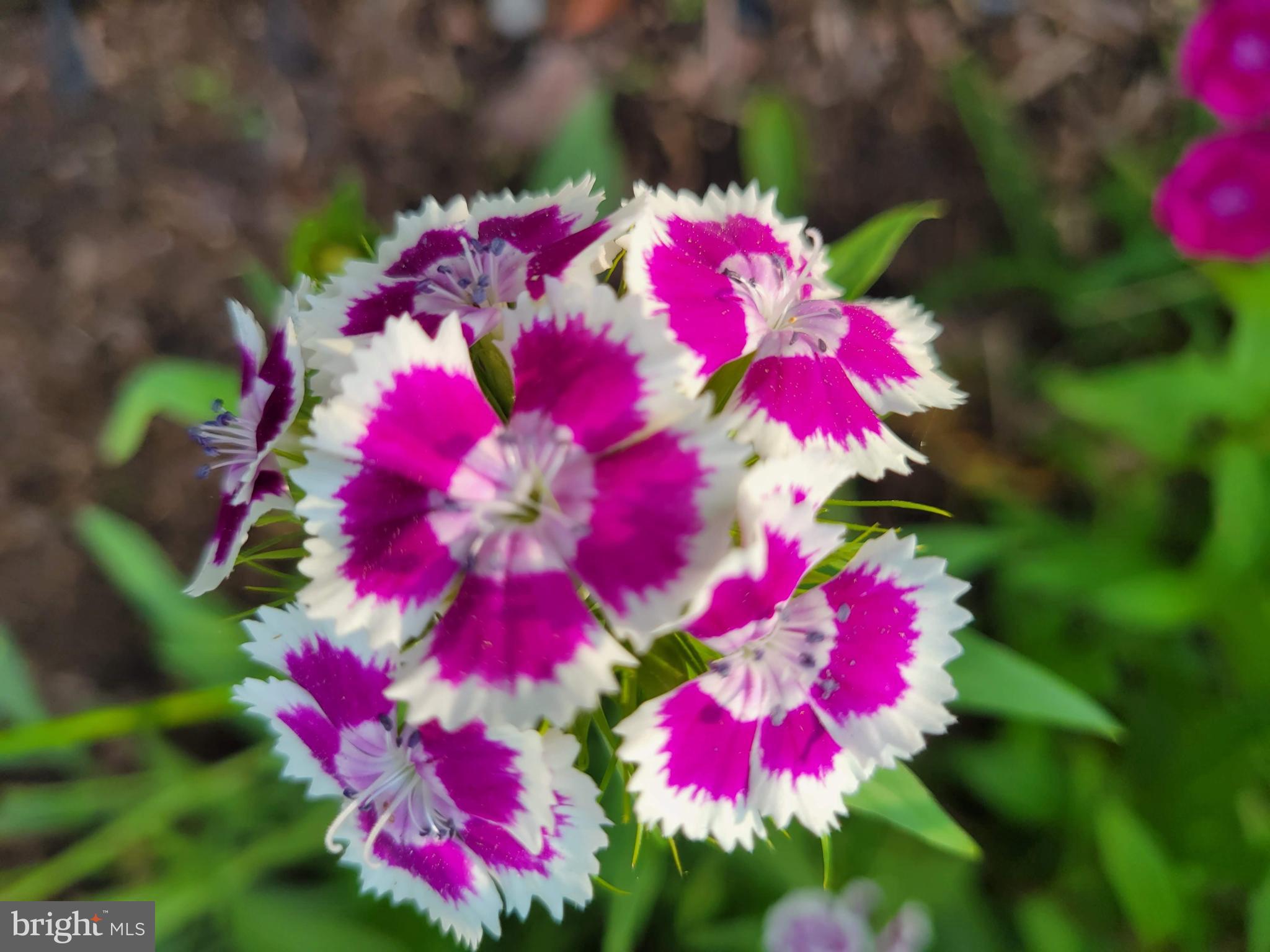 SUGARLAND RUN - Residential