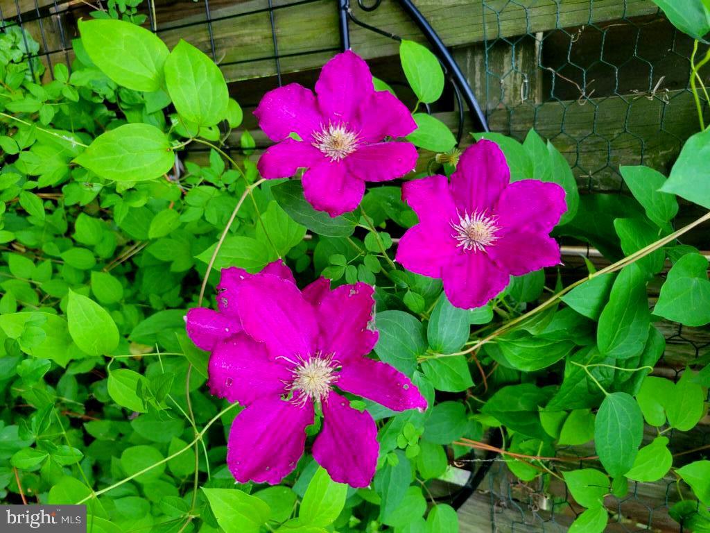 SUGARLAND RUN - Residential