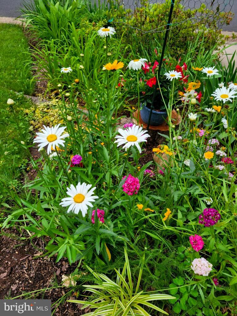 SUGARLAND RUN - Residential