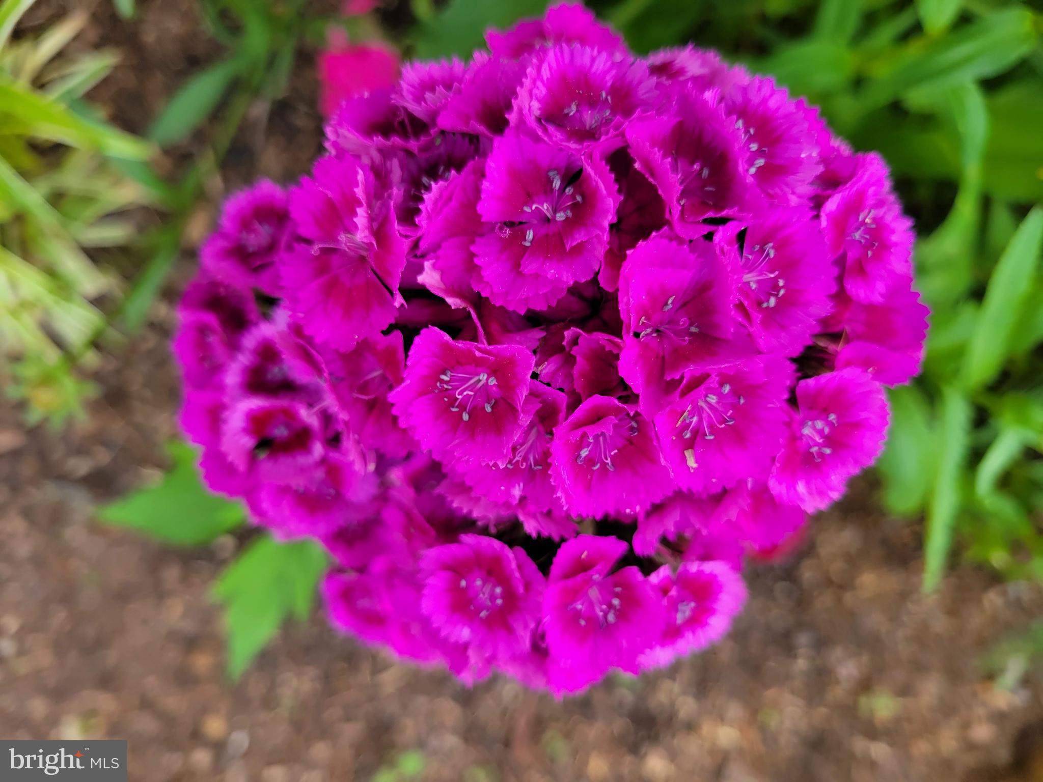 SUGARLAND RUN - Residential