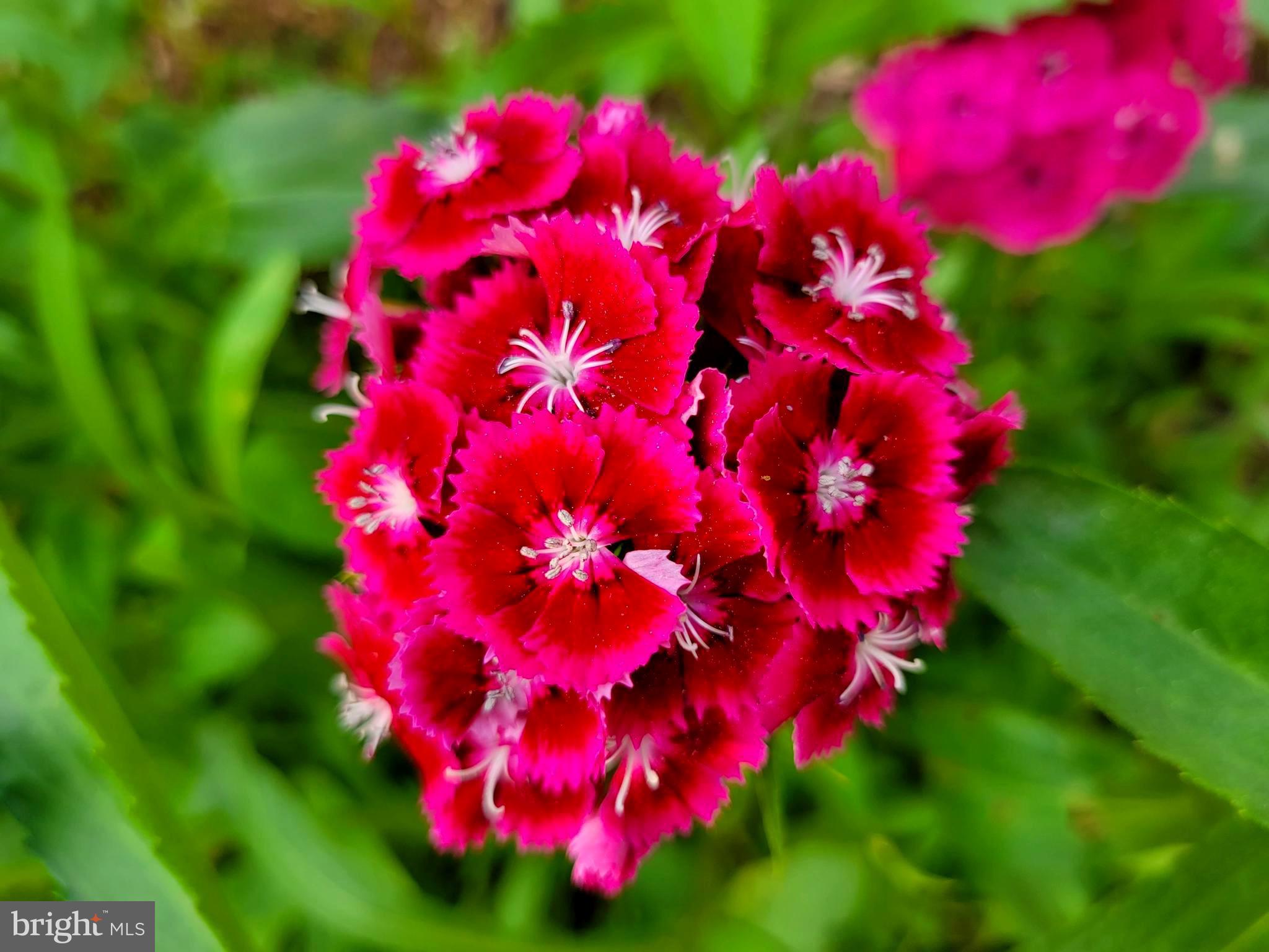 SUGARLAND RUN - Residential