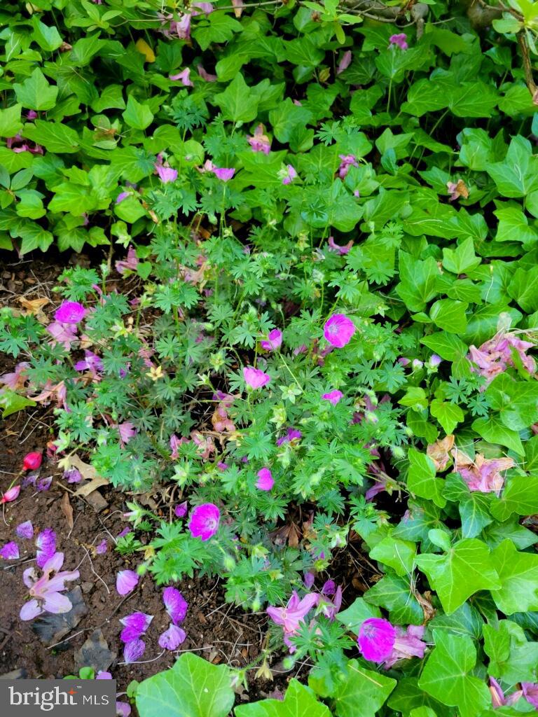 SUGARLAND RUN - Residential