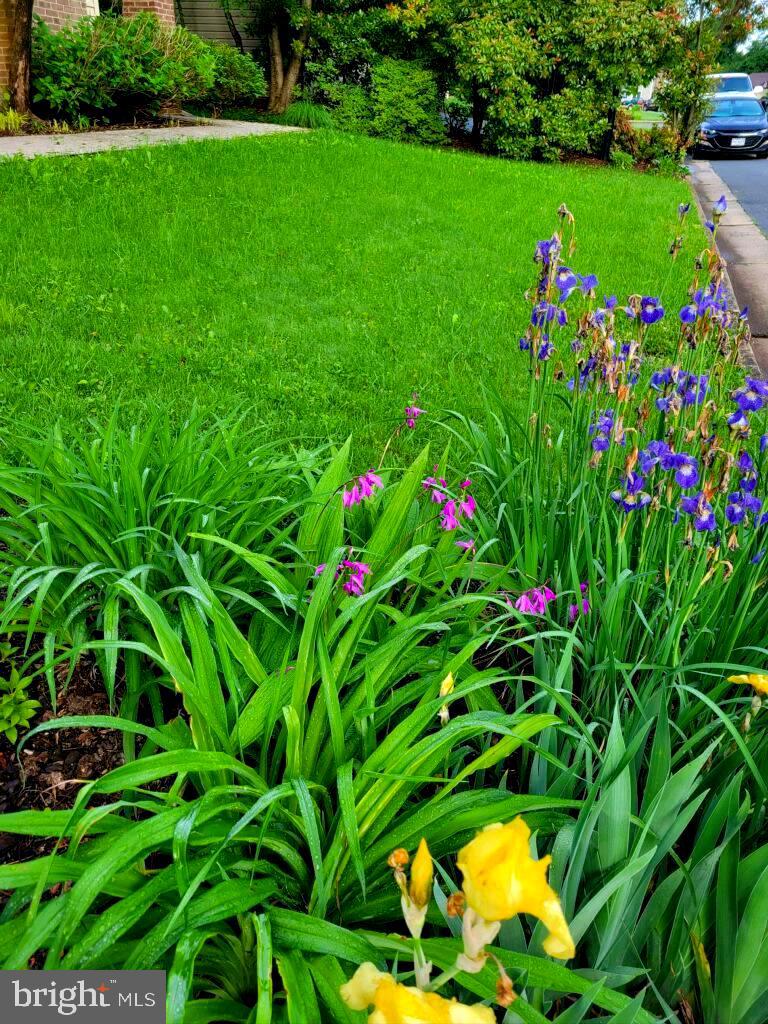 SUGARLAND RUN - Residential