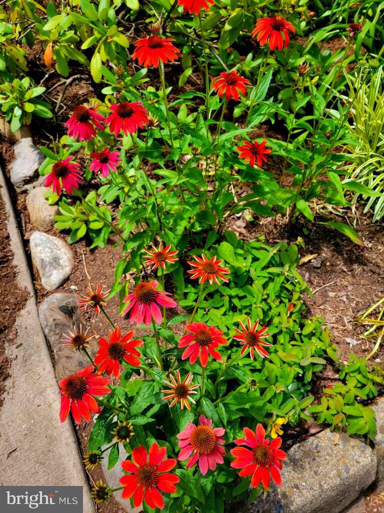 SUGARLAND RUN - Residential