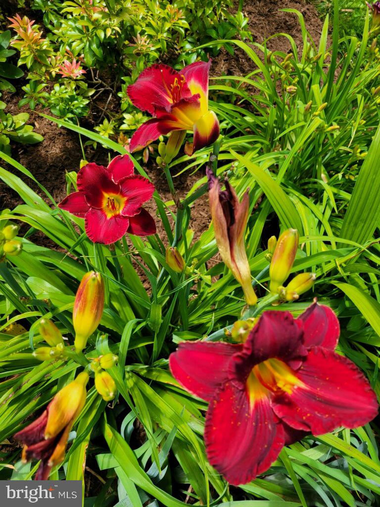 SUGARLAND RUN - Residential