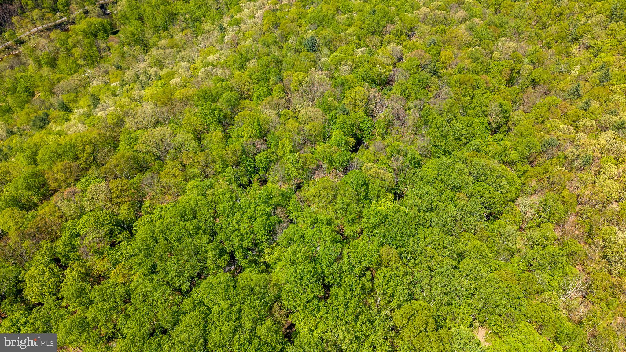 CACAPON RIVER COLONY - Residential