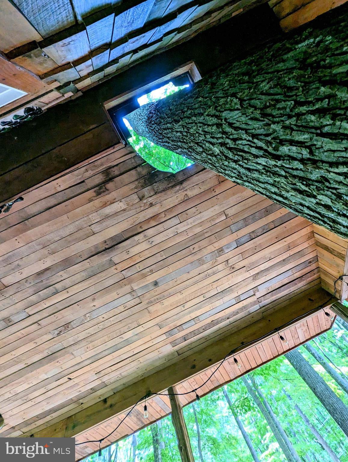 CACAPON RIVER COLONY - Residential