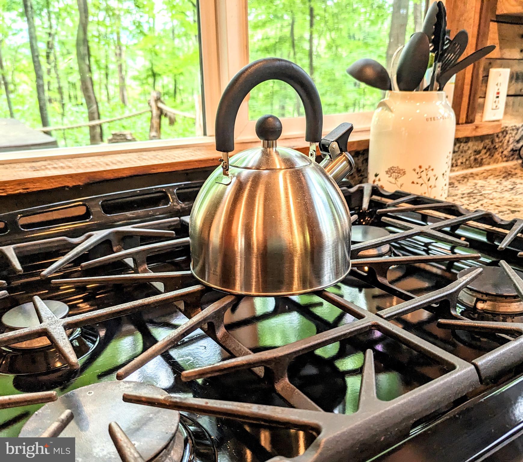 CACAPON RIVER COLONY - Residential