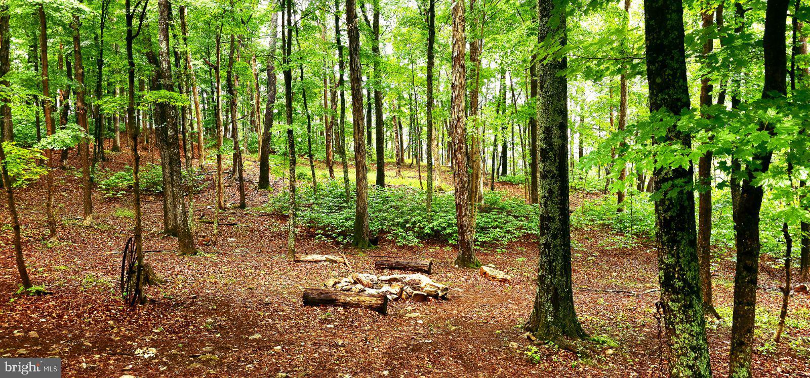 CACAPON RIVER COLONY - Residential