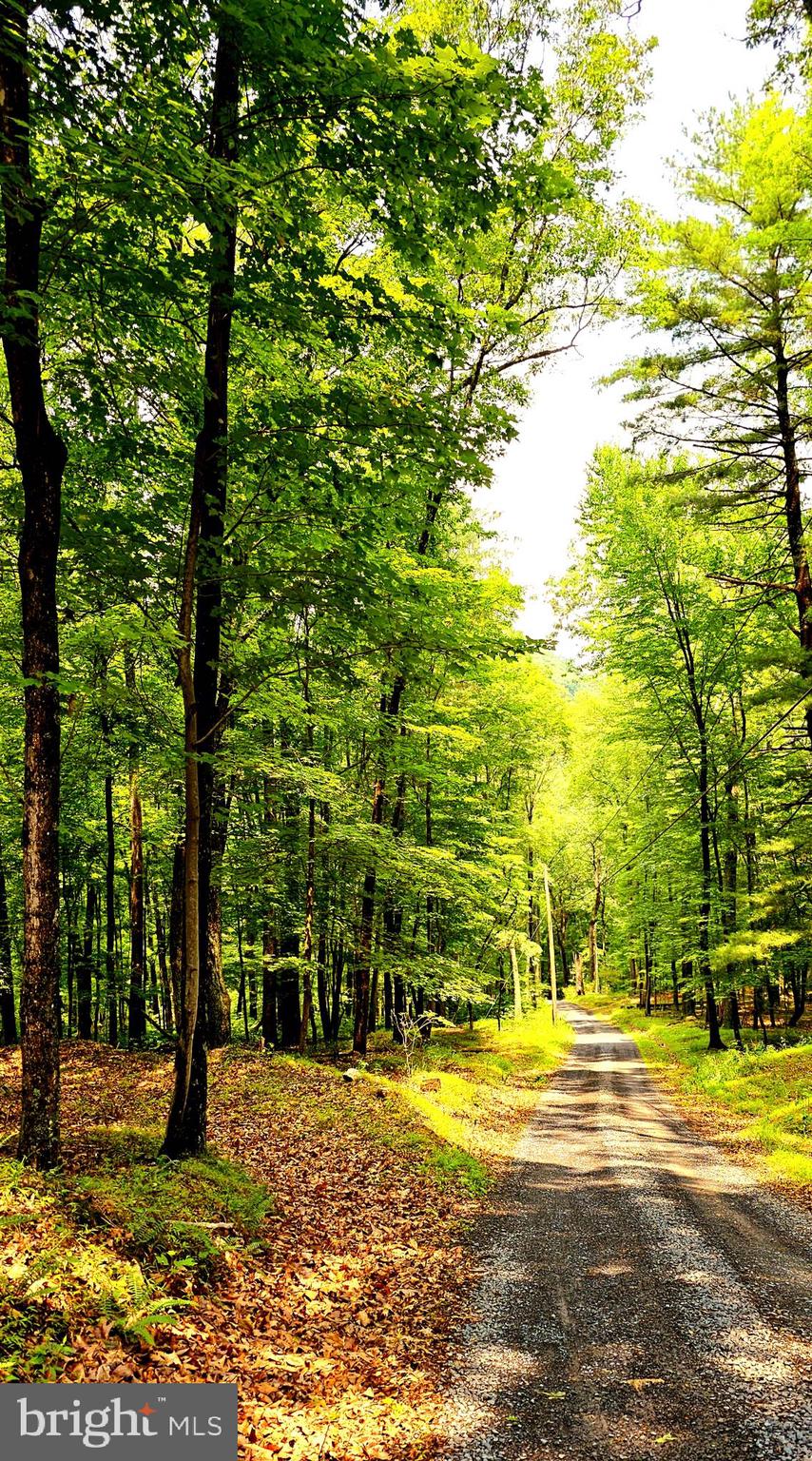 CACAPON RIVER COLONY - Residential