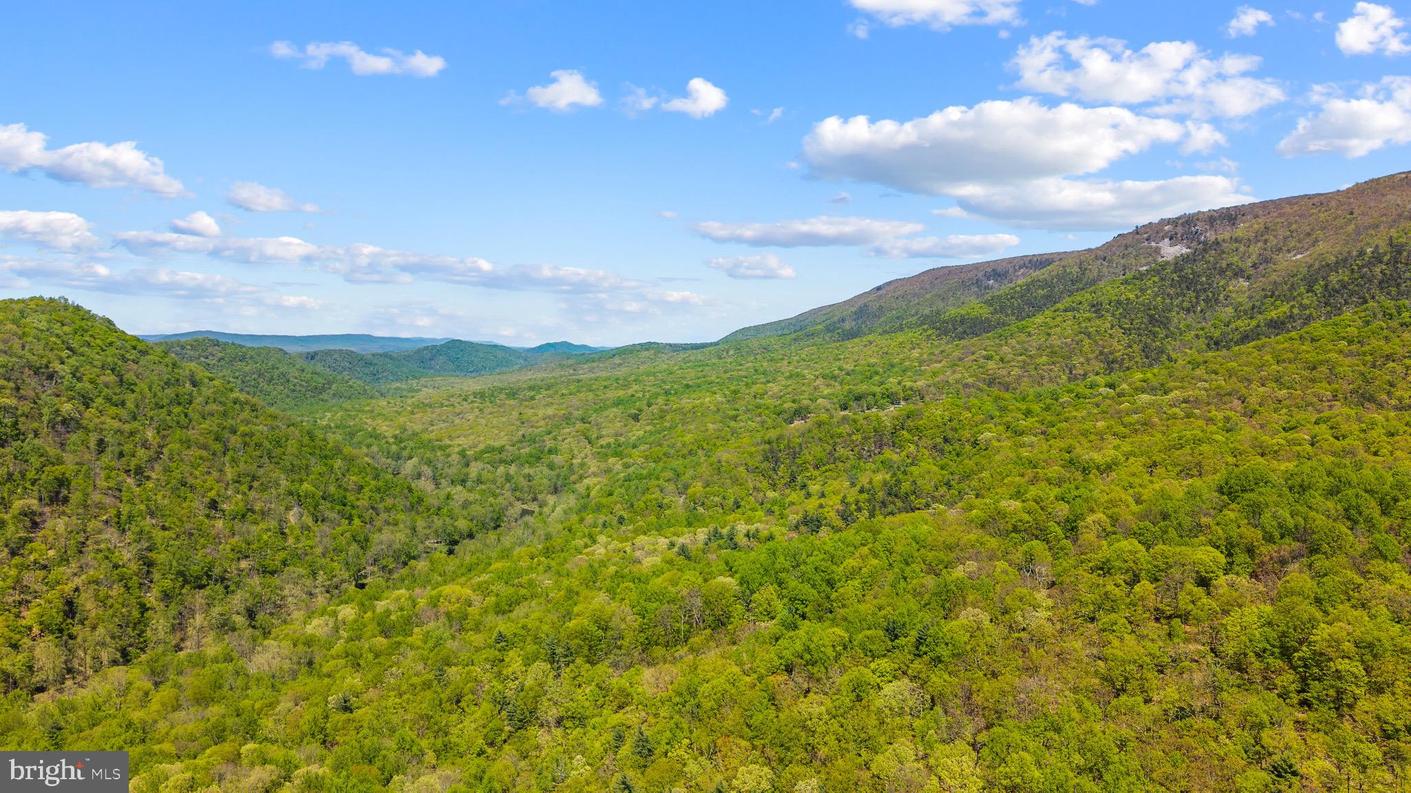 CACAPON RIVER COLONY - Residential