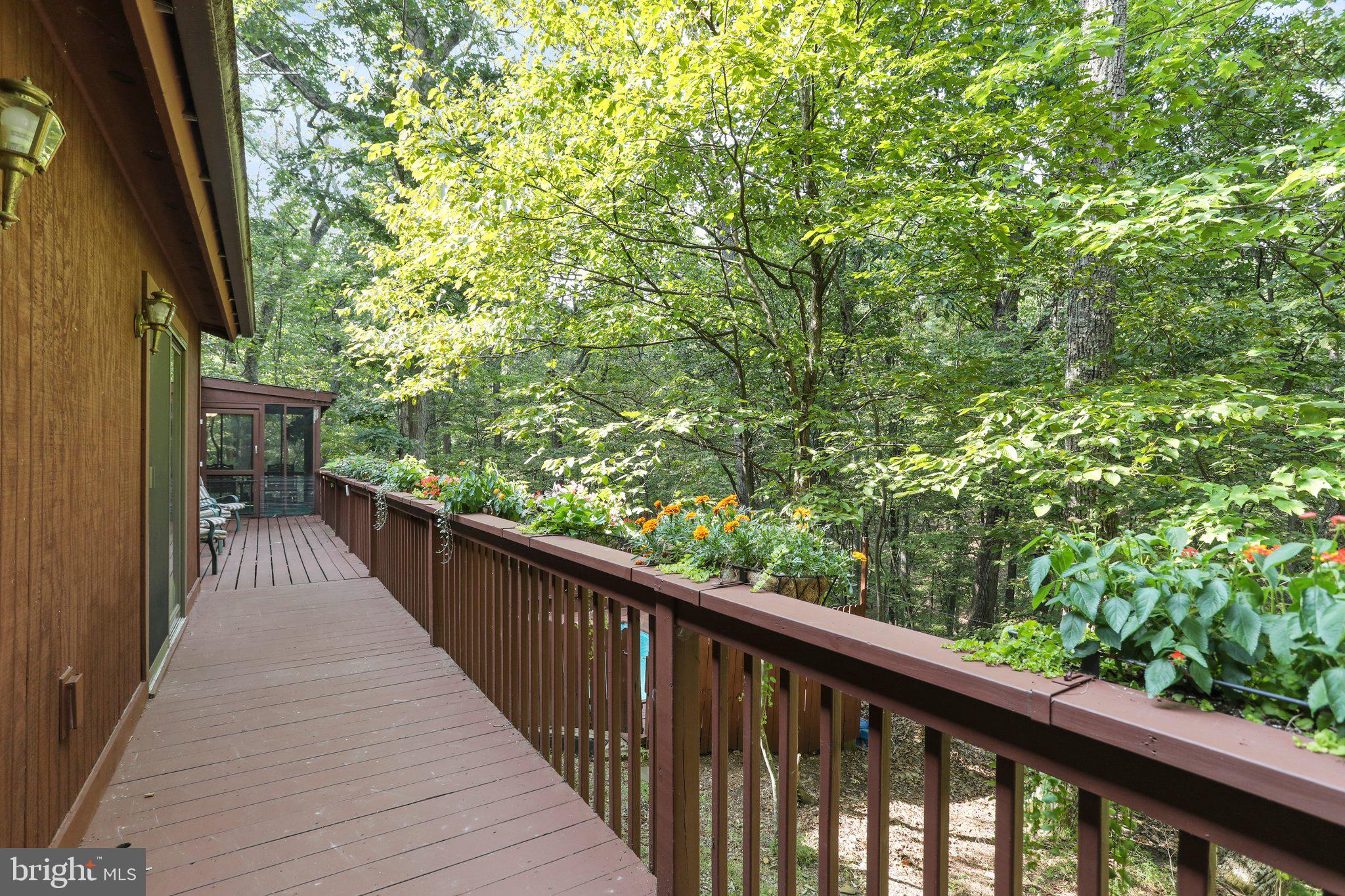 THE WOODS - Residential