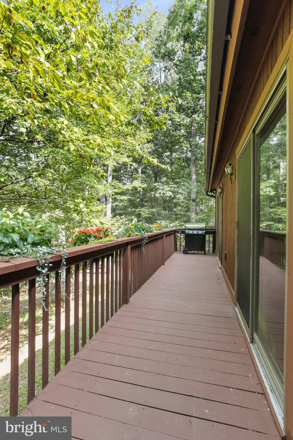 THE WOODS - Residential