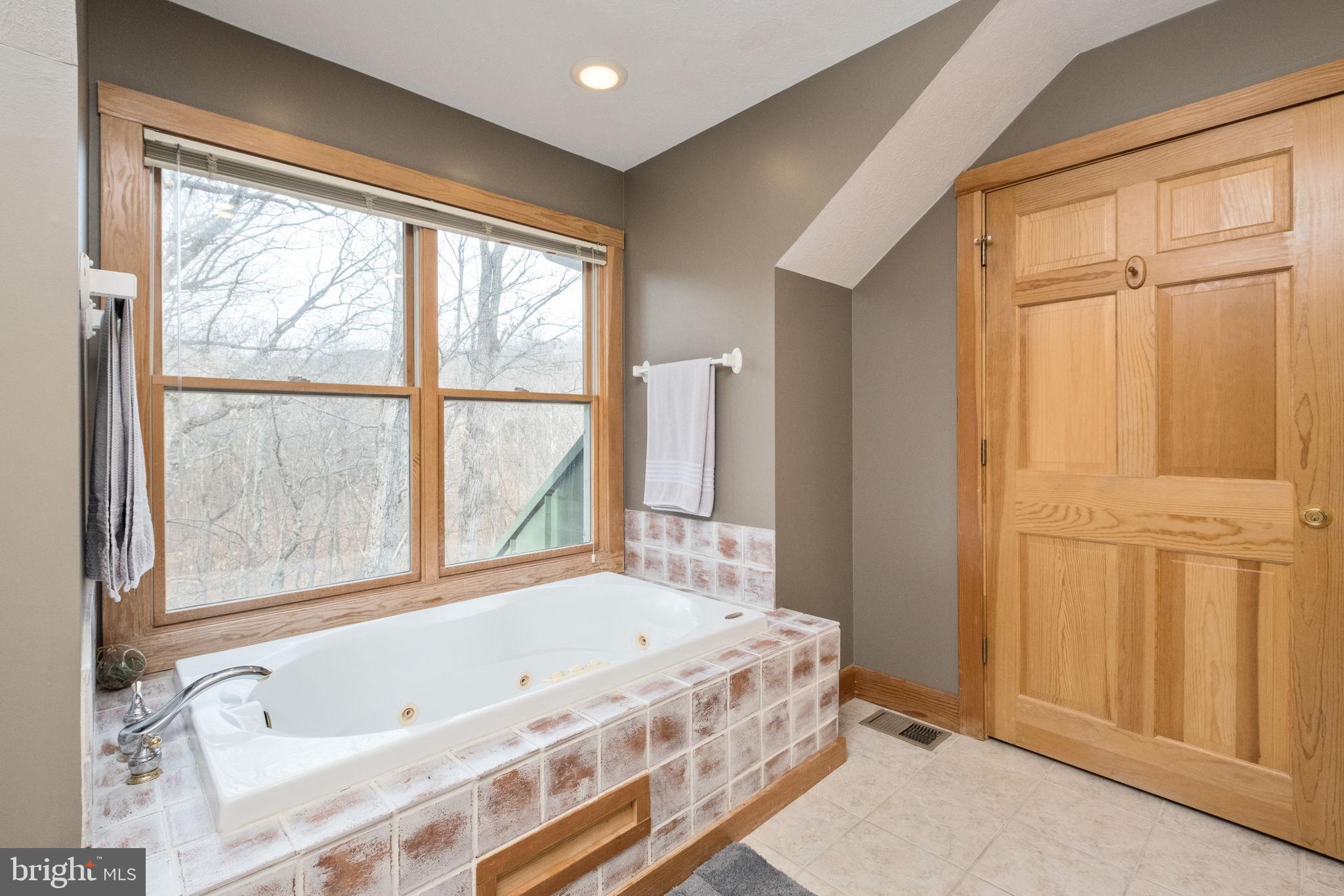 MASSANUTTEN RESORT - Residential