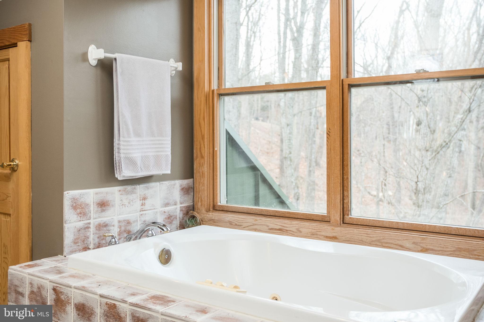 MASSANUTTEN RESORT - Residential