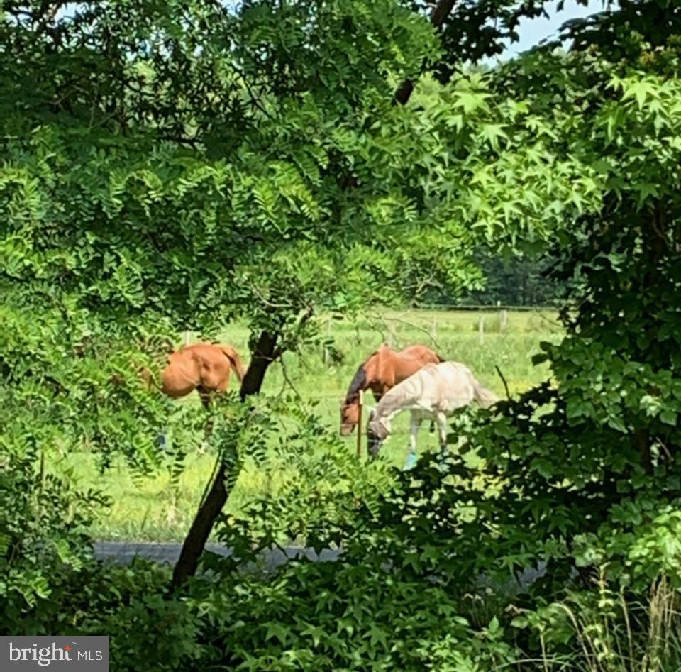 ST MARGARETS LANDING - Residential