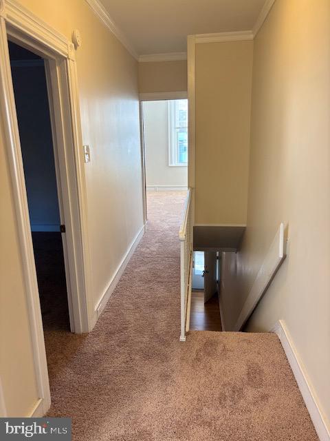 OVERBROOK PARK - Residential