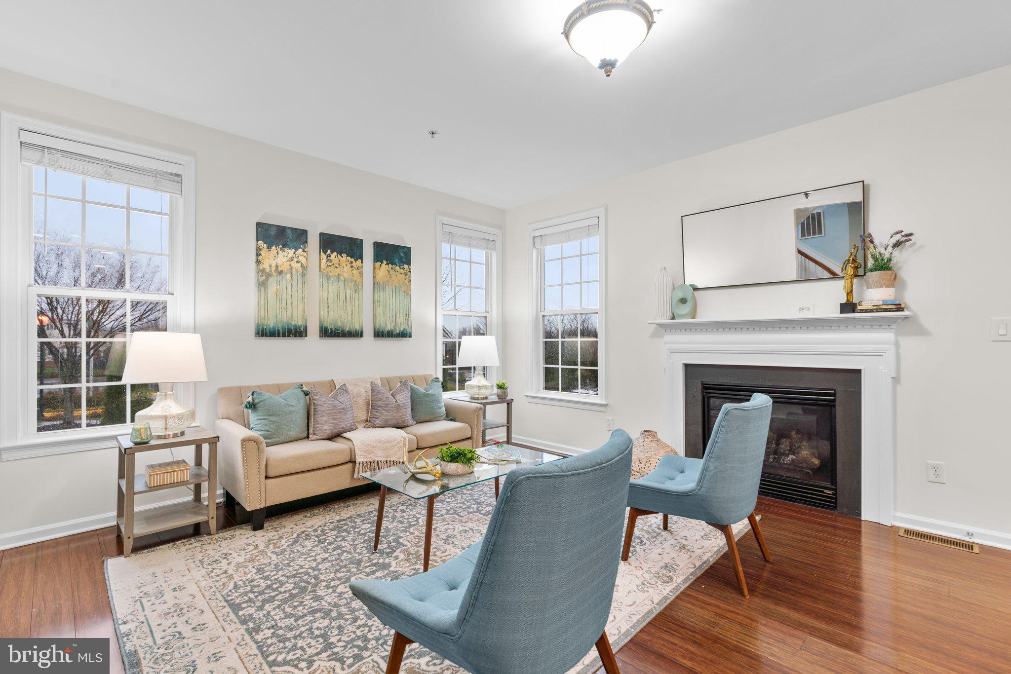 CLARKSBURG VILLAGE - Residential