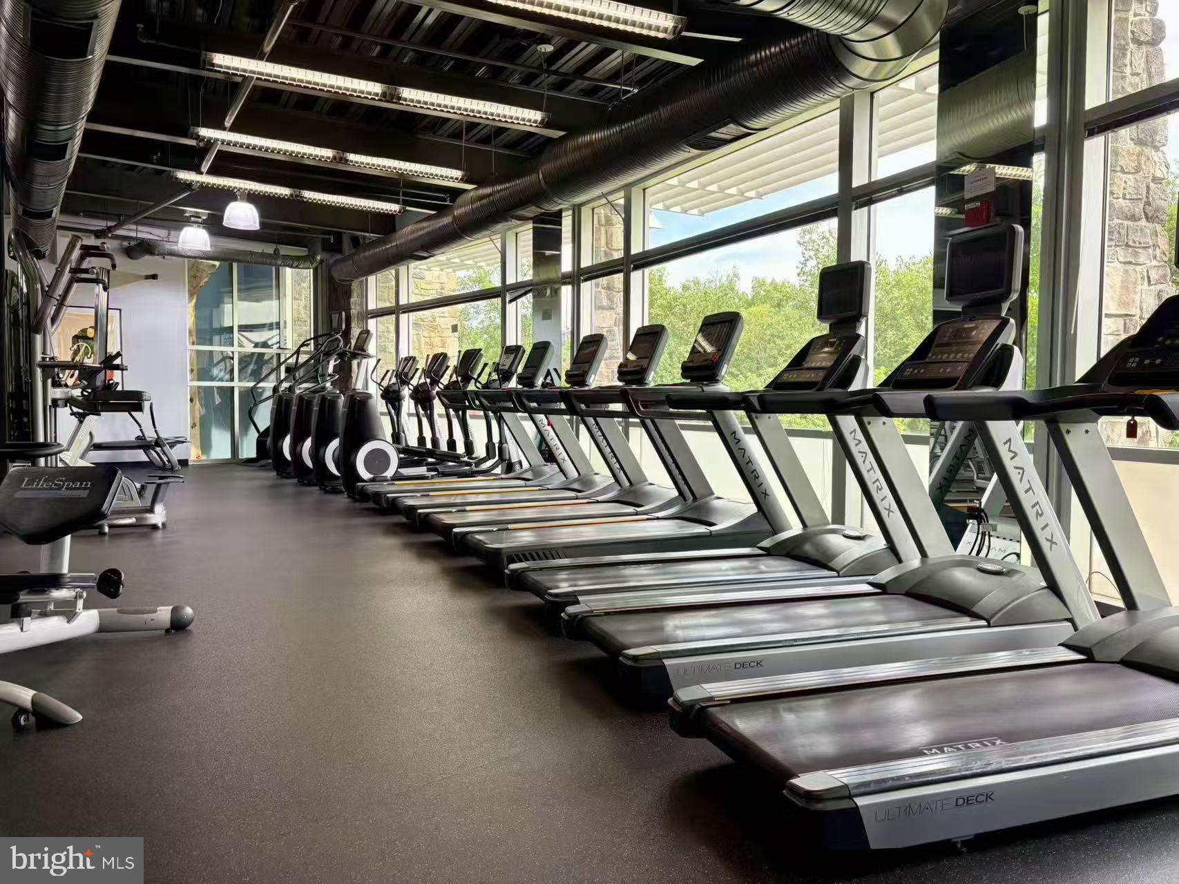 POTOMAC CLUB CONDOMINIUMS - Residential Lease