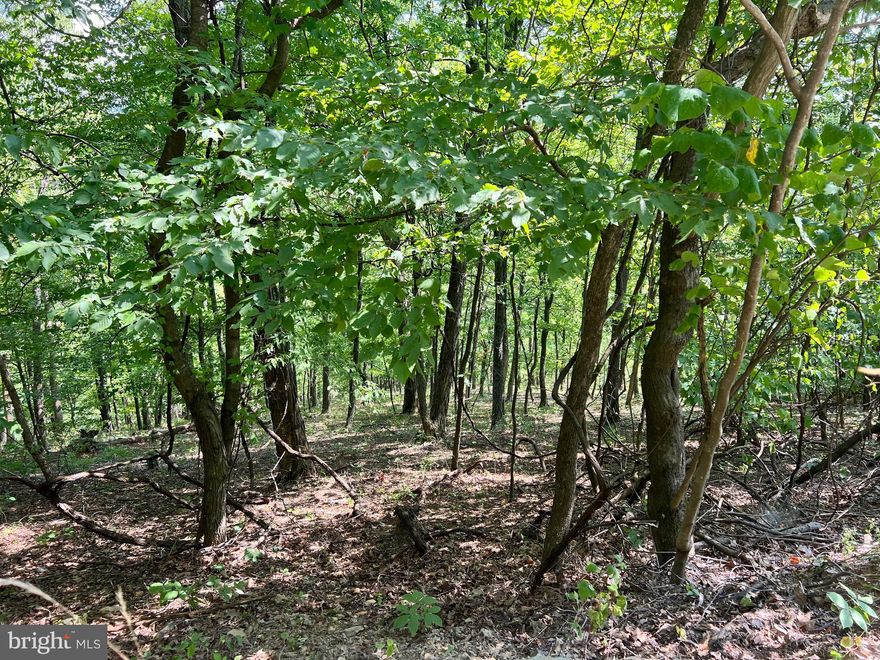 Wooded and accessible by all wheel drive,  this lot offers six acres for hunting, camping or great place for a tiny house to use as base cabin for weekend adventure in the area.