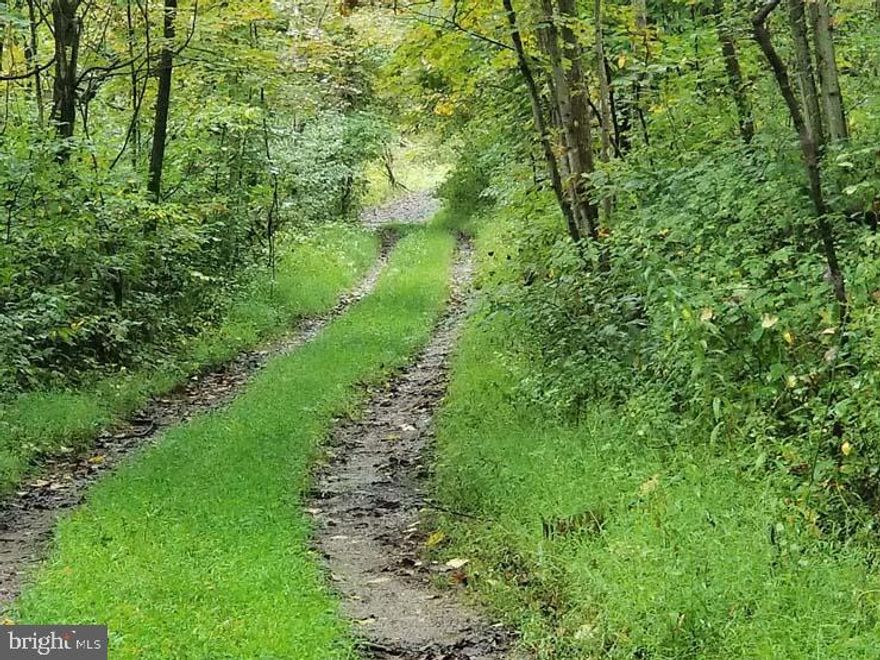 Secluded Juniata Co woodlot w/perk test & survey on file. Build dream home or rustic cabin where wildlife abounds. Close to State Game Lands with additional land available. 12 miles to major highway! Call today!,No Doublewides,No Singlewides,Farm Fuel: None