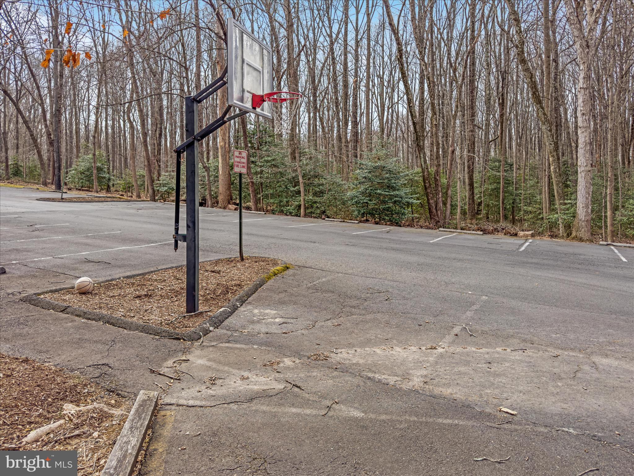 FOX MILL WOODS - Residential