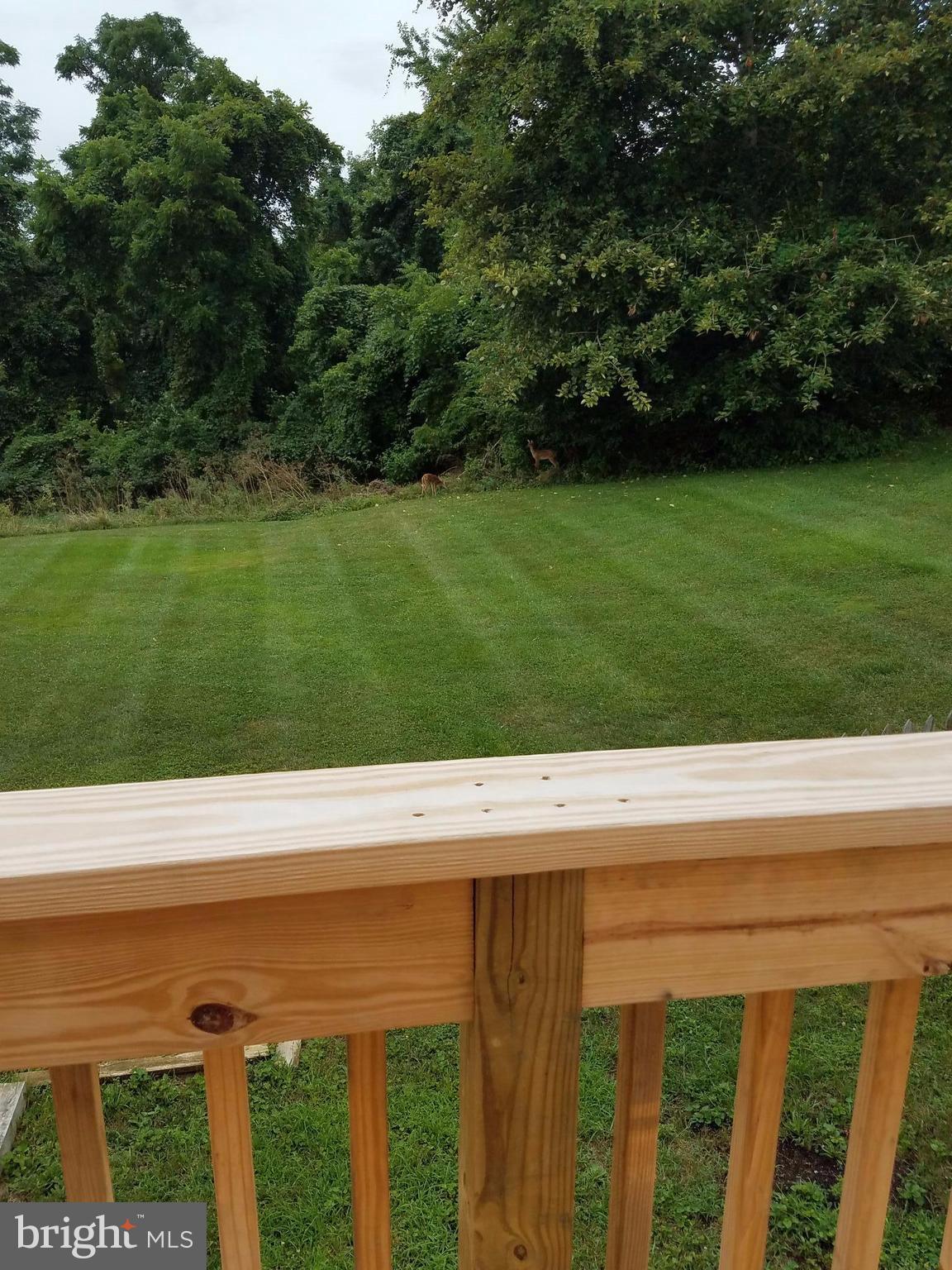 PINEDALE WOODS - Residential