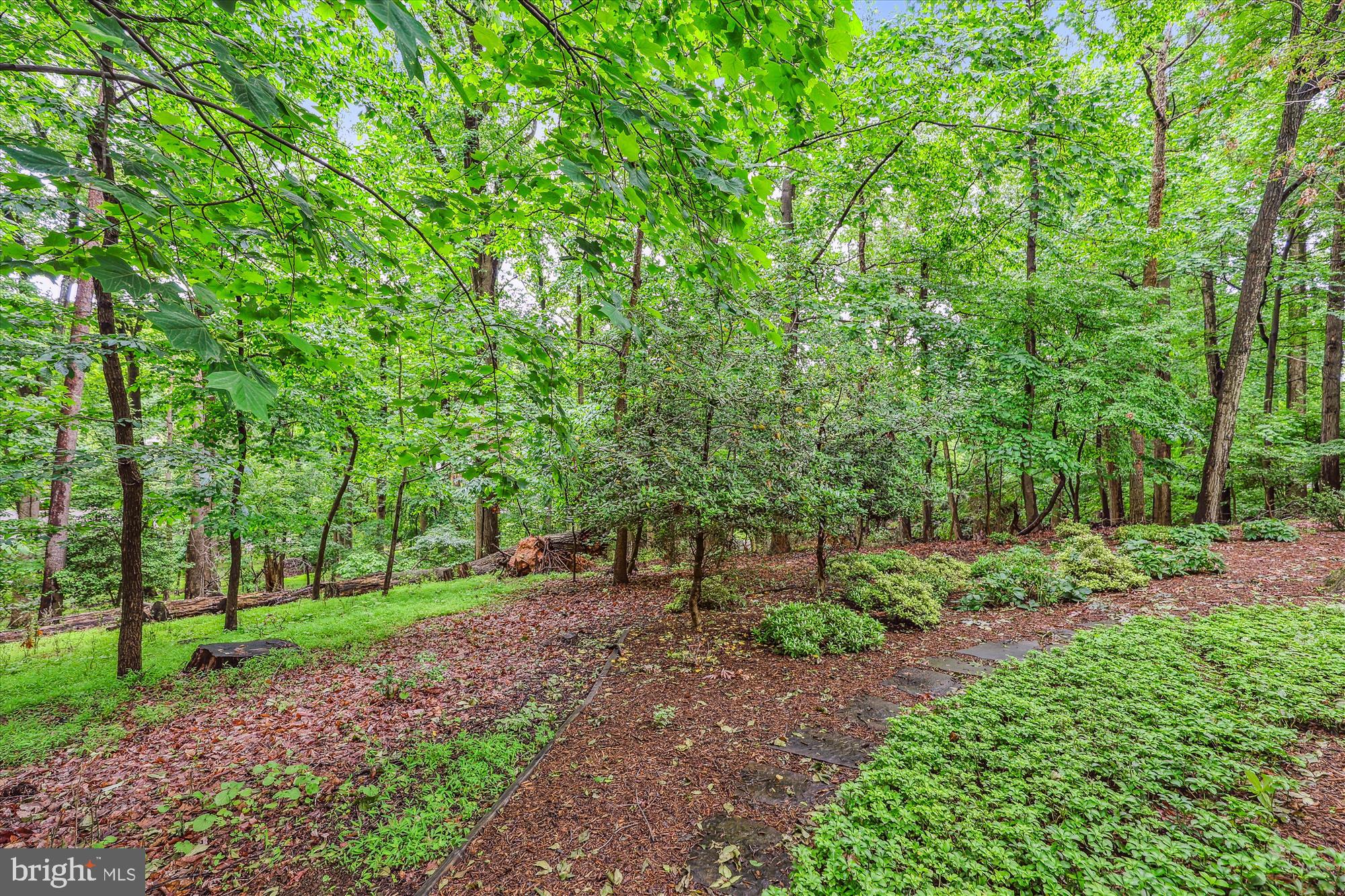 FRANKLIN CLUSTER - Residential