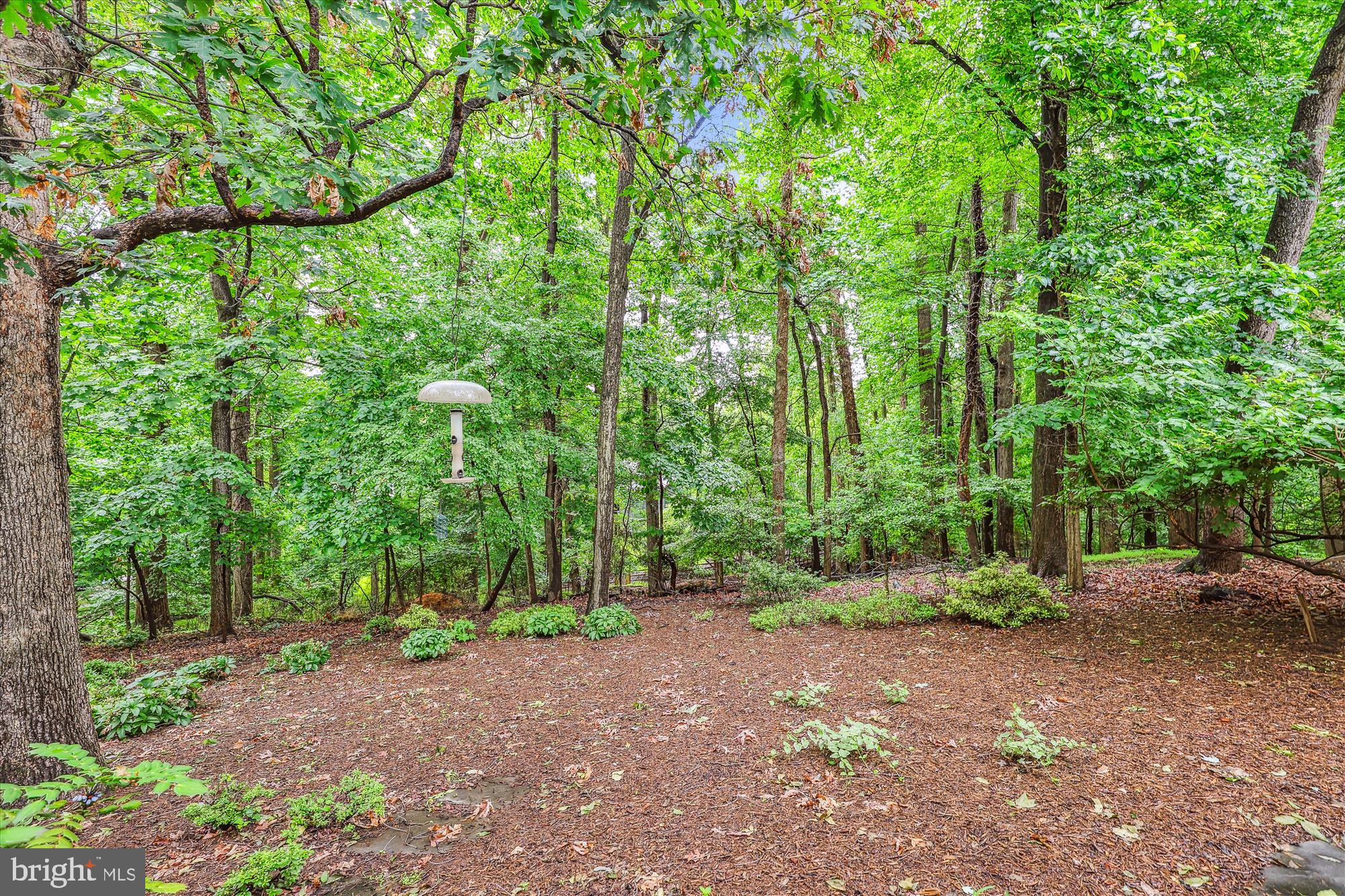 FRANKLIN CLUSTER - Residential