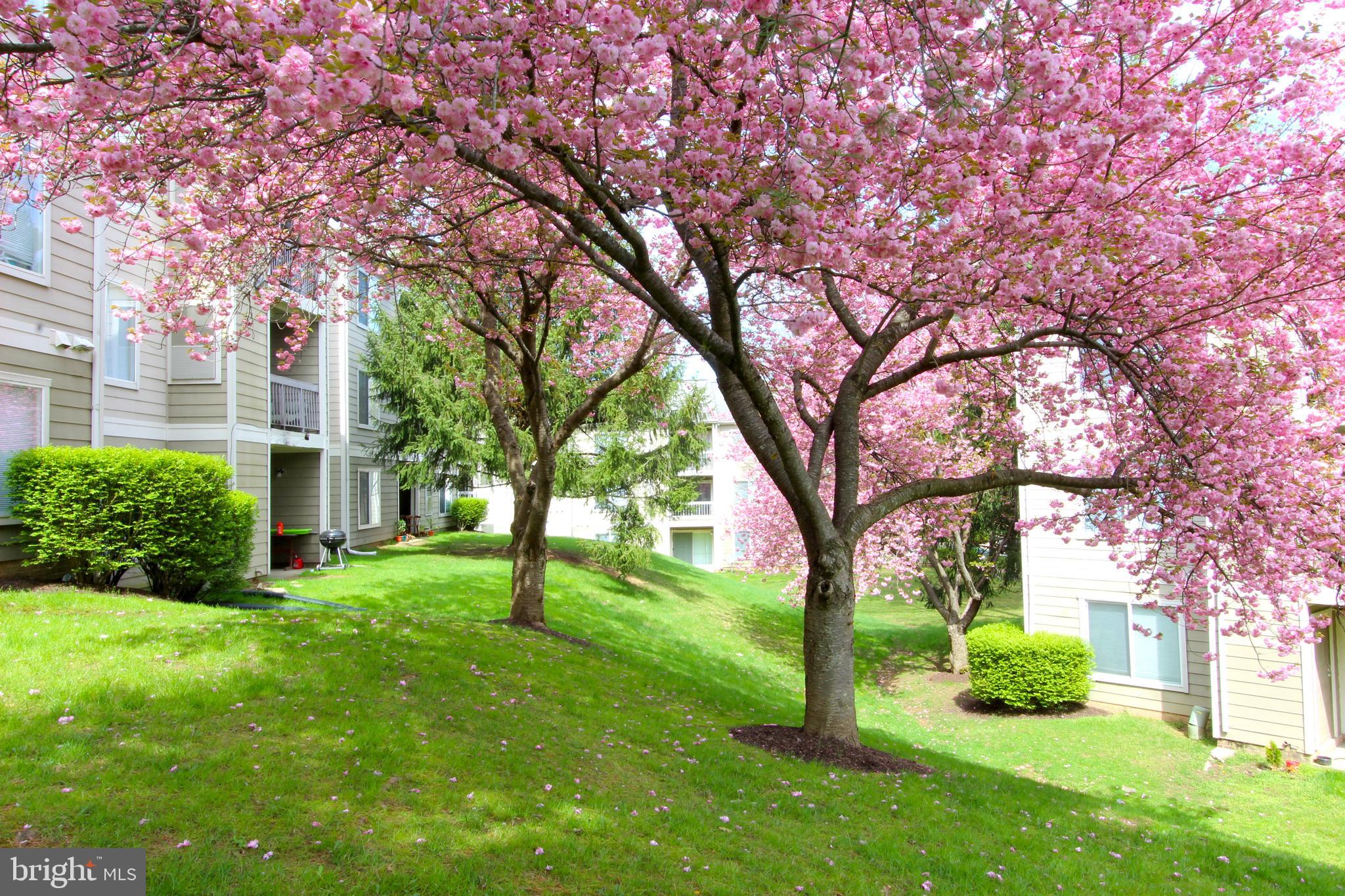 BRANDERMILL - Residential