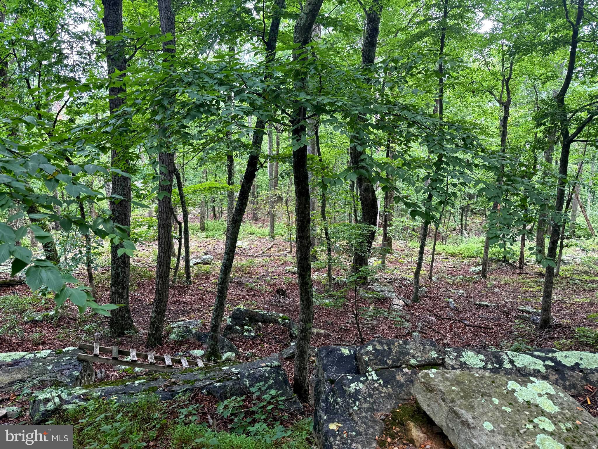 TR D-15 DEER PATH ROAD