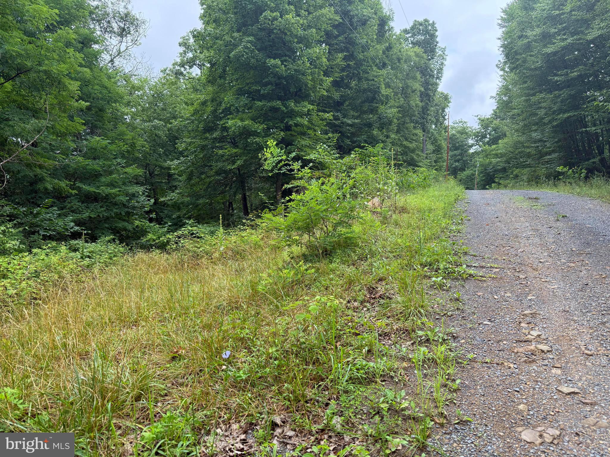TR D-15 DEER PATH ROAD