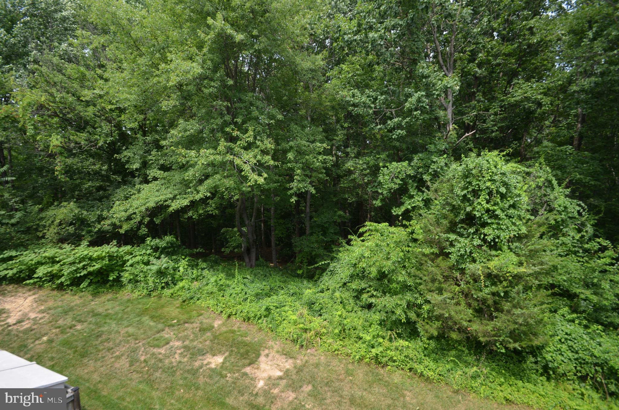 ISLAND CREEK - Residential Lease