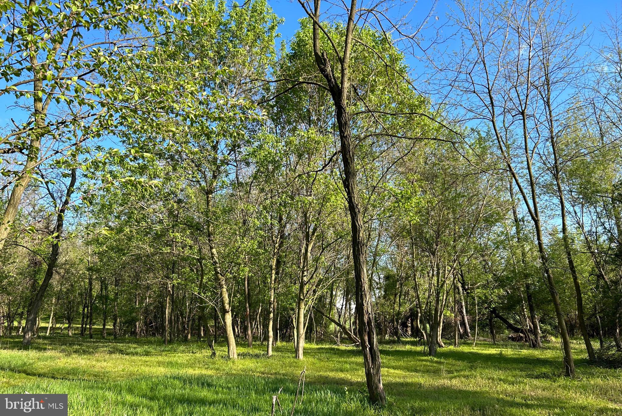 LOT 3 SUNDAYS MANOR, SUNDAYS LANE