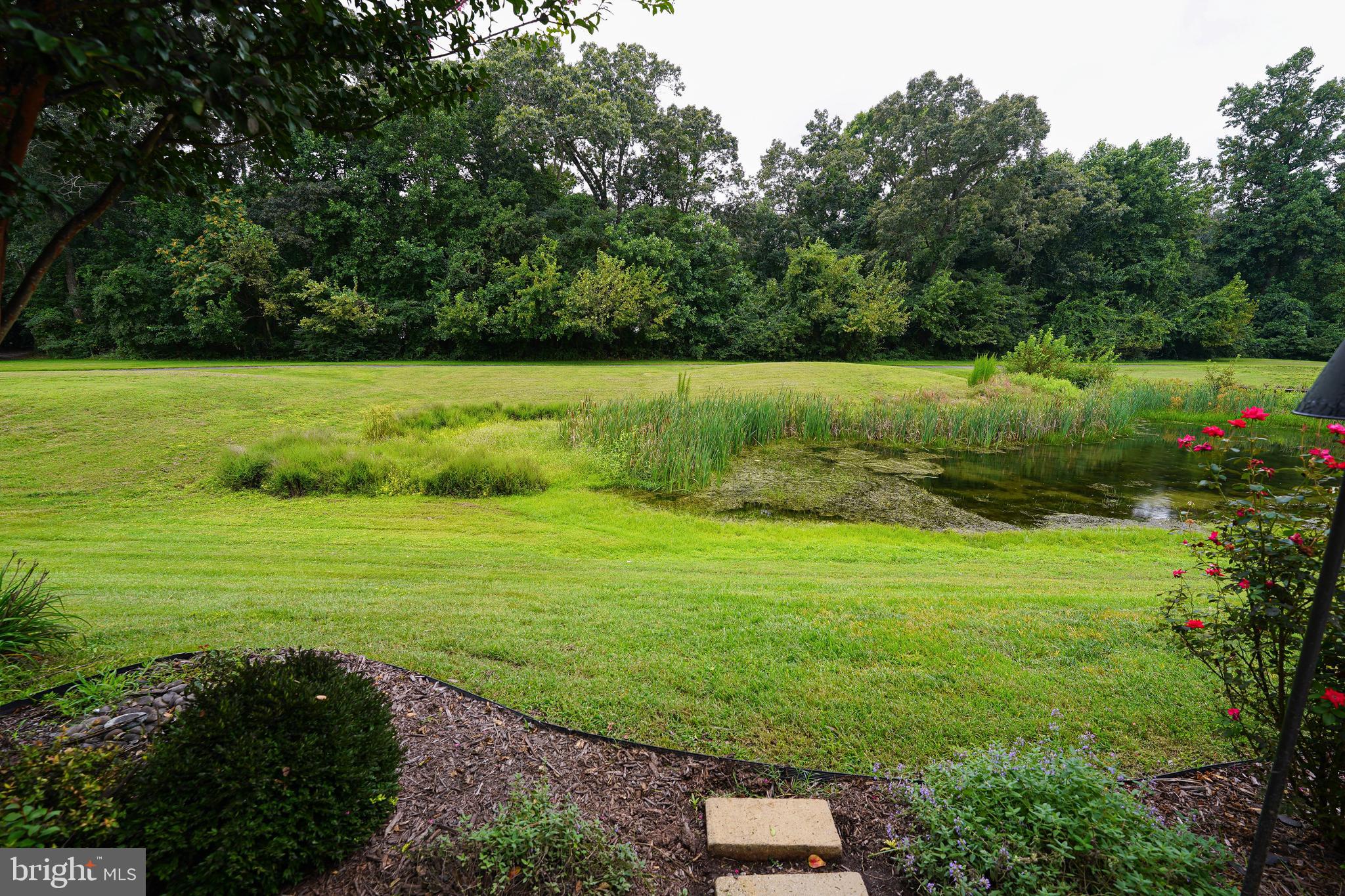 8980 EXECUTIVE CLUB DRIVE