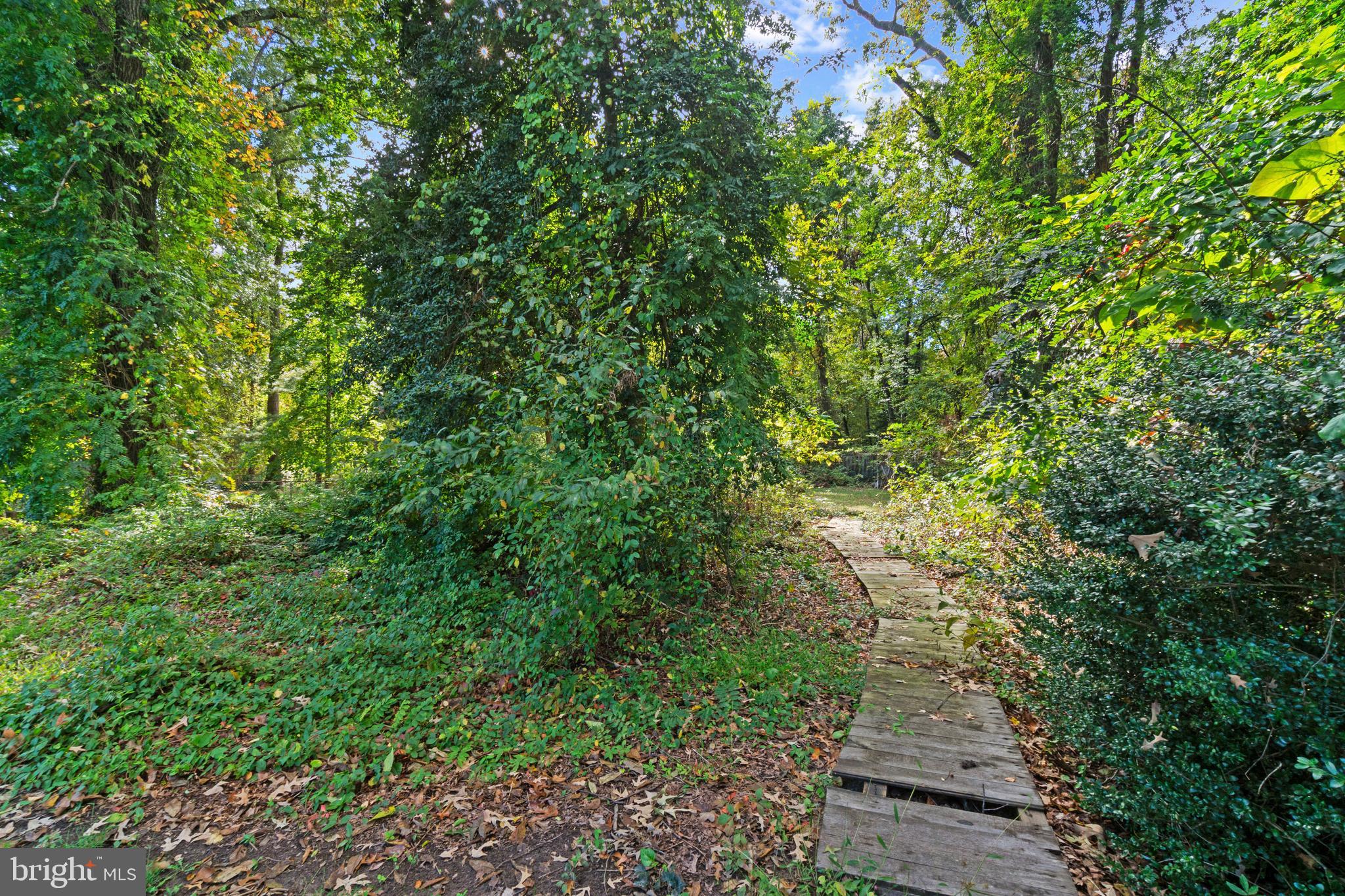 CHELSEA BEACH - Residential