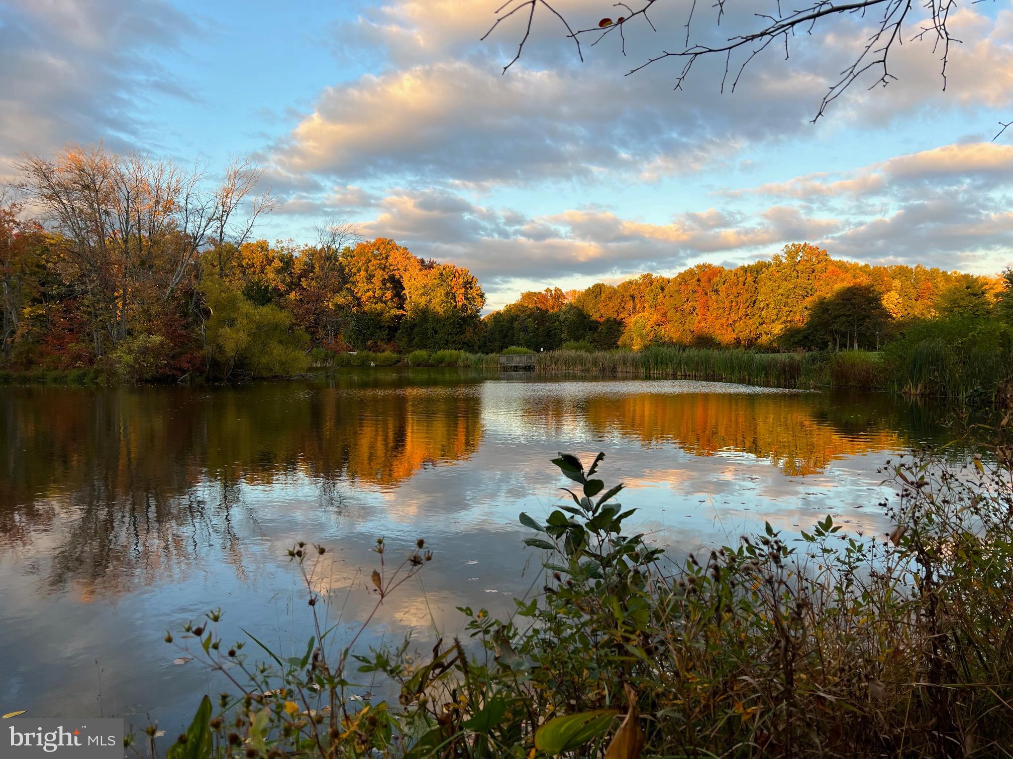 FRANKLIN FARM - Residential