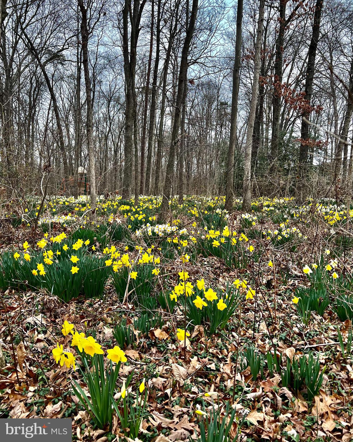 FRANKLIN FARM - Residential