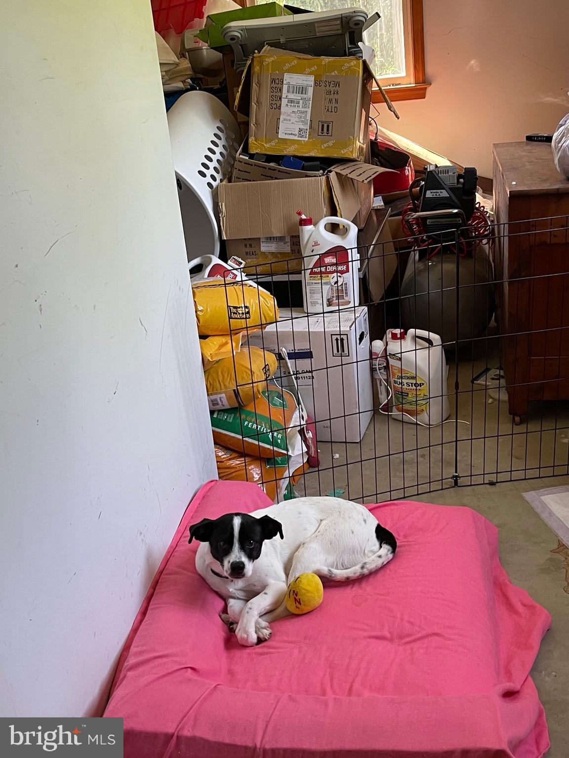 FRYE PARK - Residential