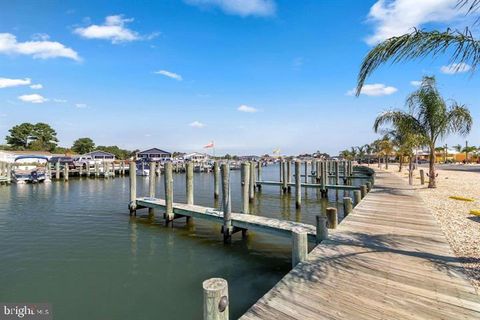listing image 88