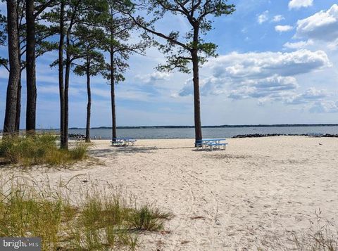 listing image 91