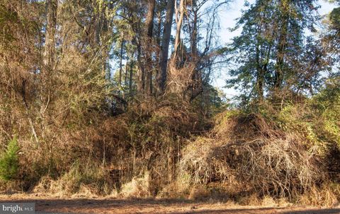 Vacant Land For Sale - LOT 1098 Amidship Drive<br/> Accomack County, GREENBACKVILLE, VA 23356