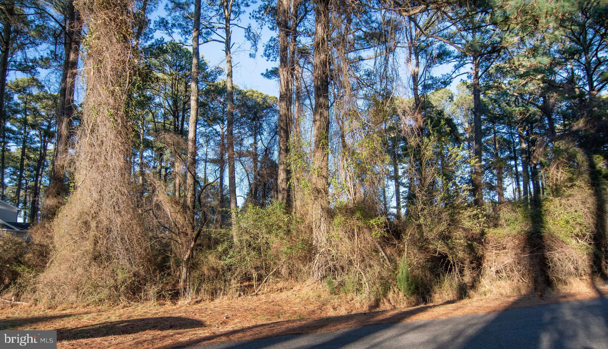 Lot 1098 AMIDSHIP DRIVE