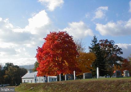 BRYCE  MOUNTAIN  RESORT - Residential