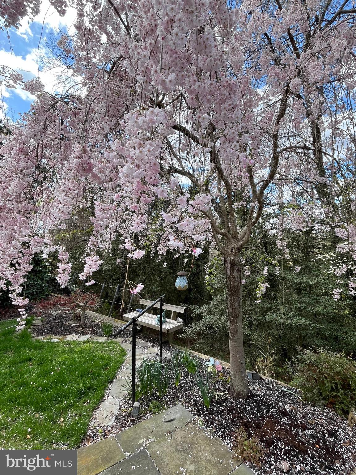 CARROLLTON MANOR - Residential