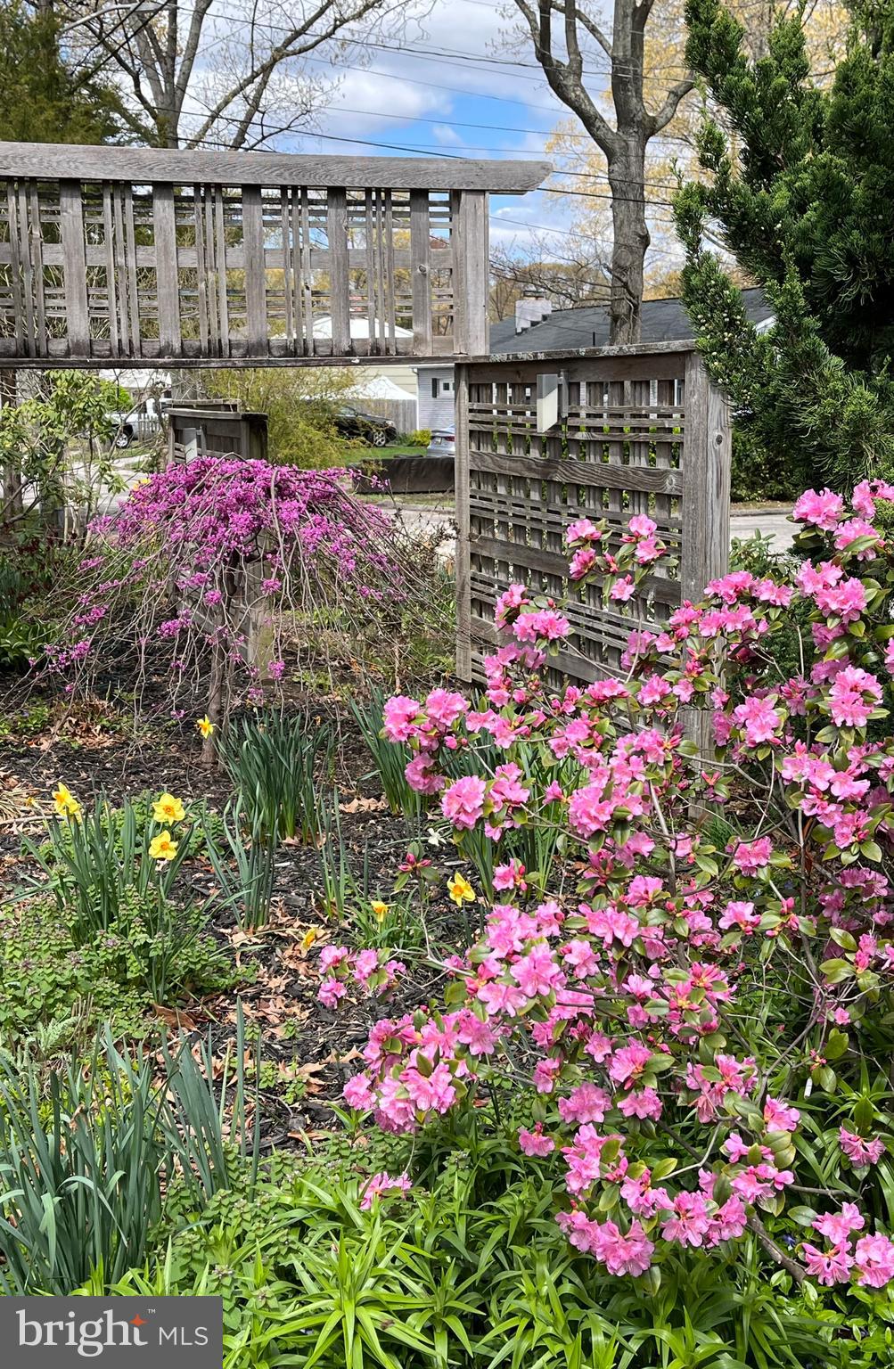 CARROLLTON MANOR - Residential