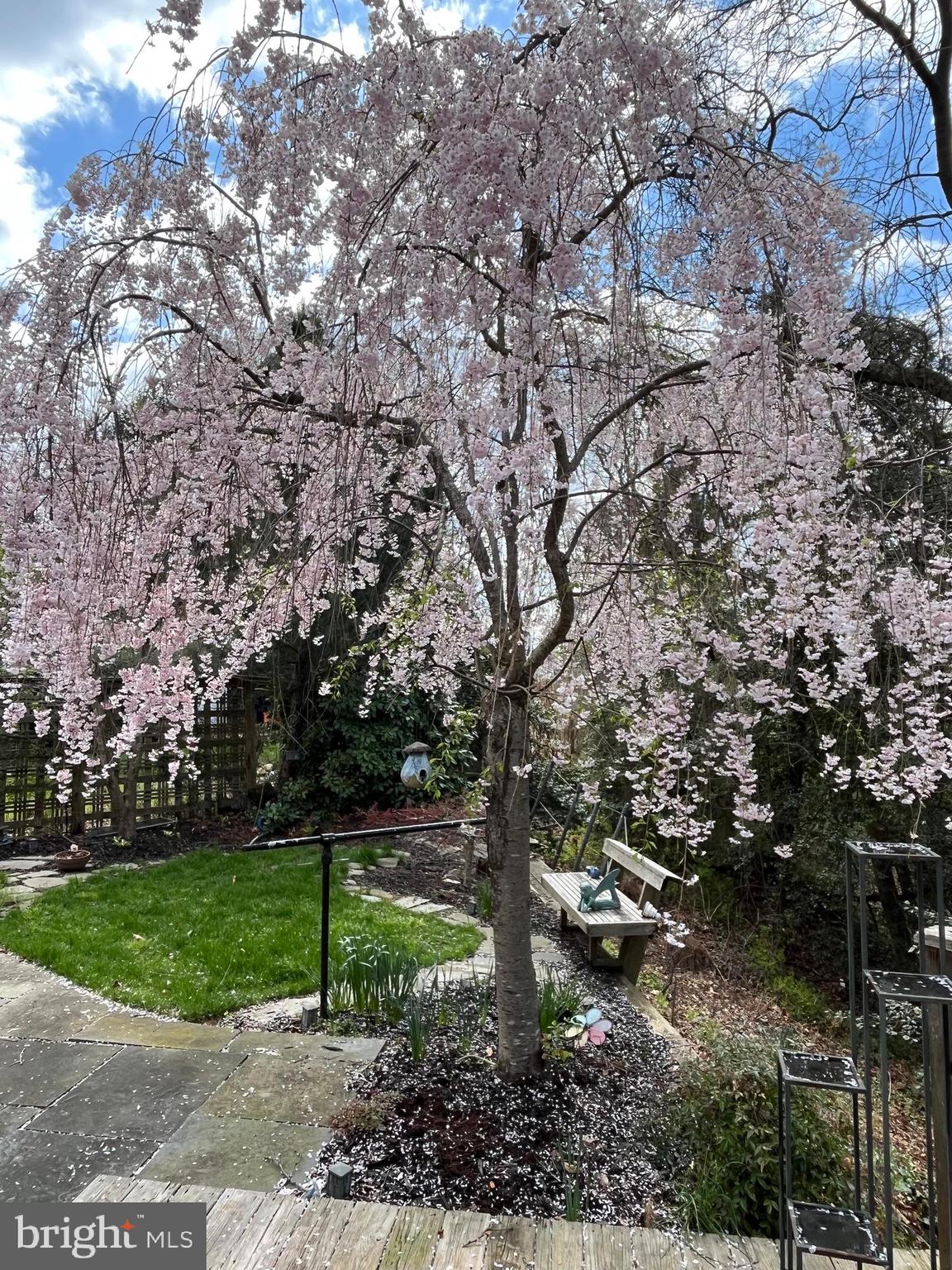 CARROLLTON MANOR - Residential
