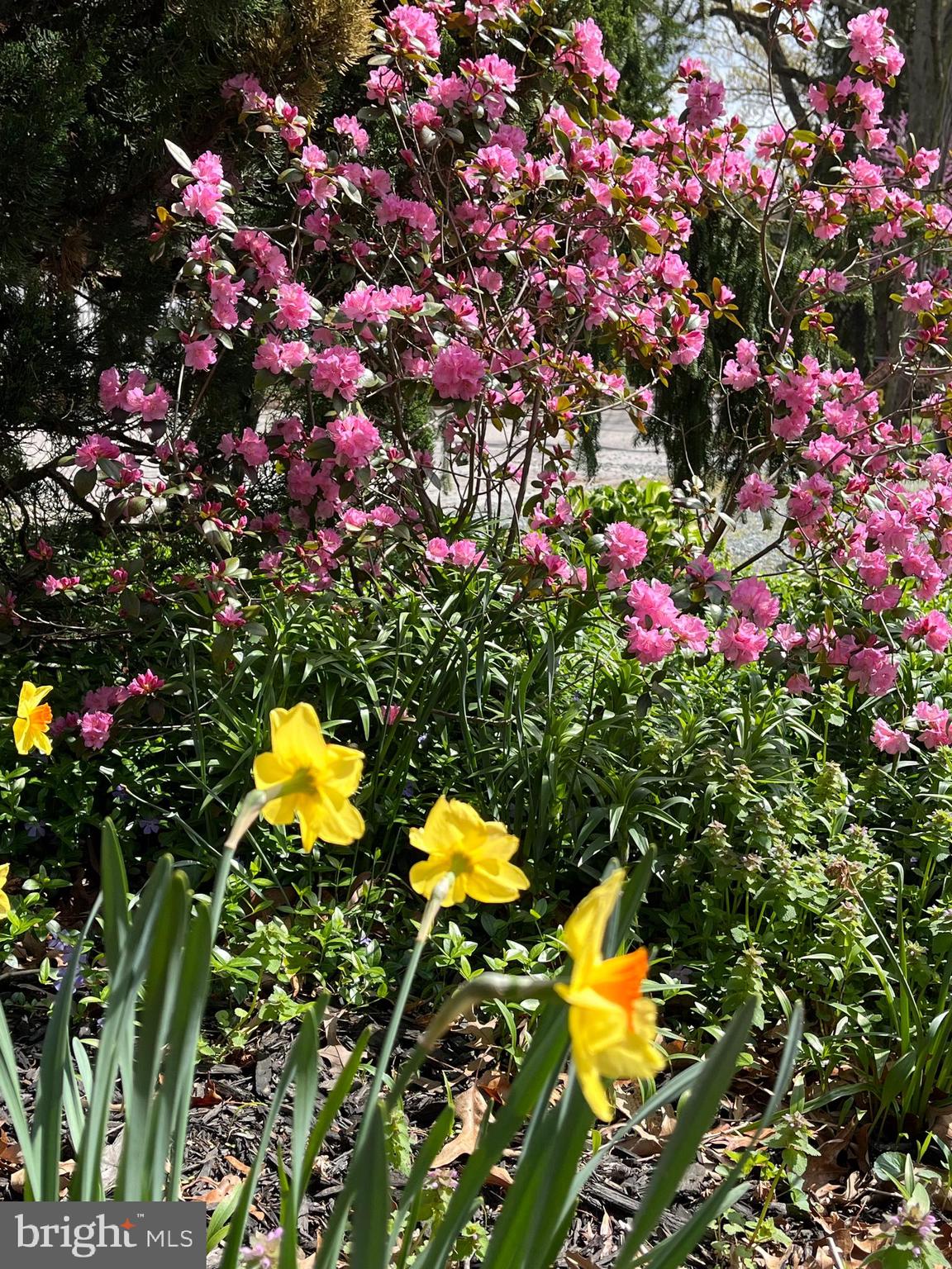 CARROLLTON MANOR - Residential