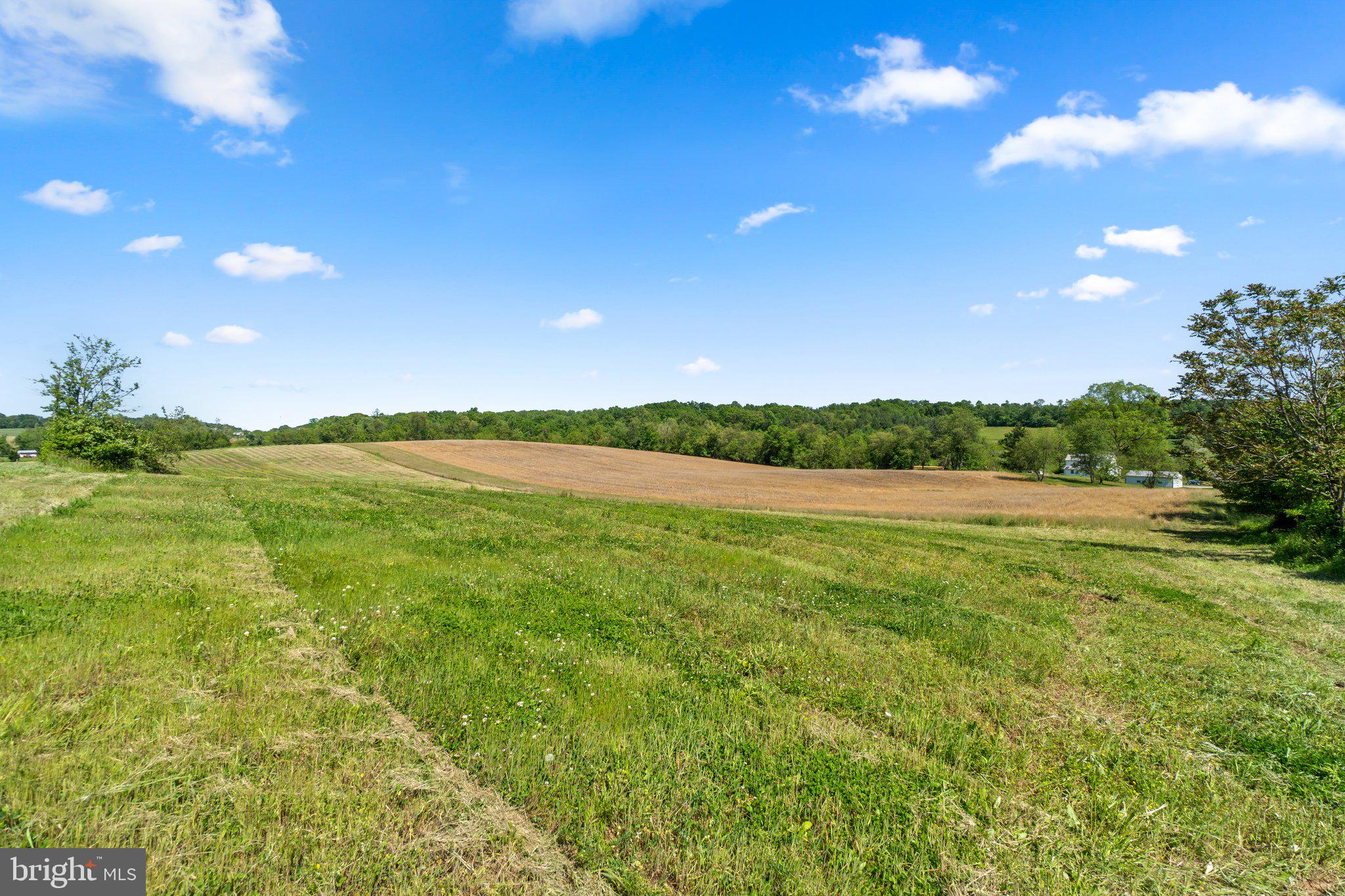 Brown Farm Remain Portion CROSS SECTION RD (NEAR 2341 CROSS SECTION RD)