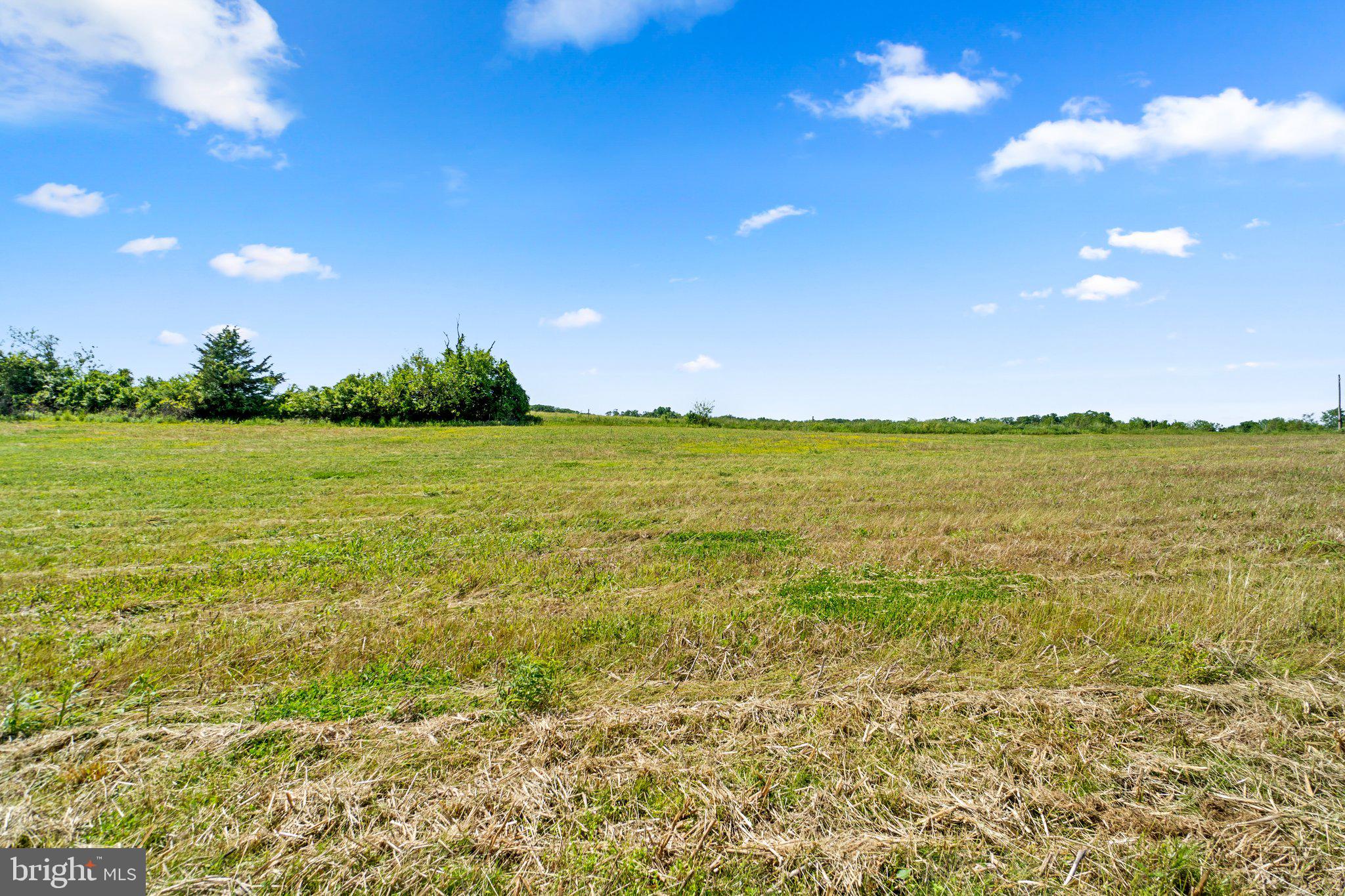 NONE AVAILABLE - Land